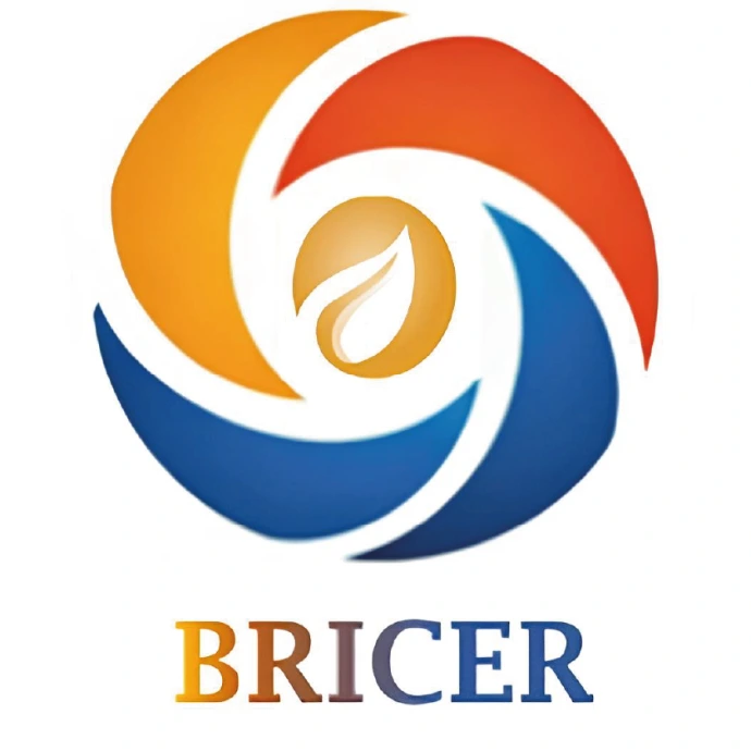Bricer